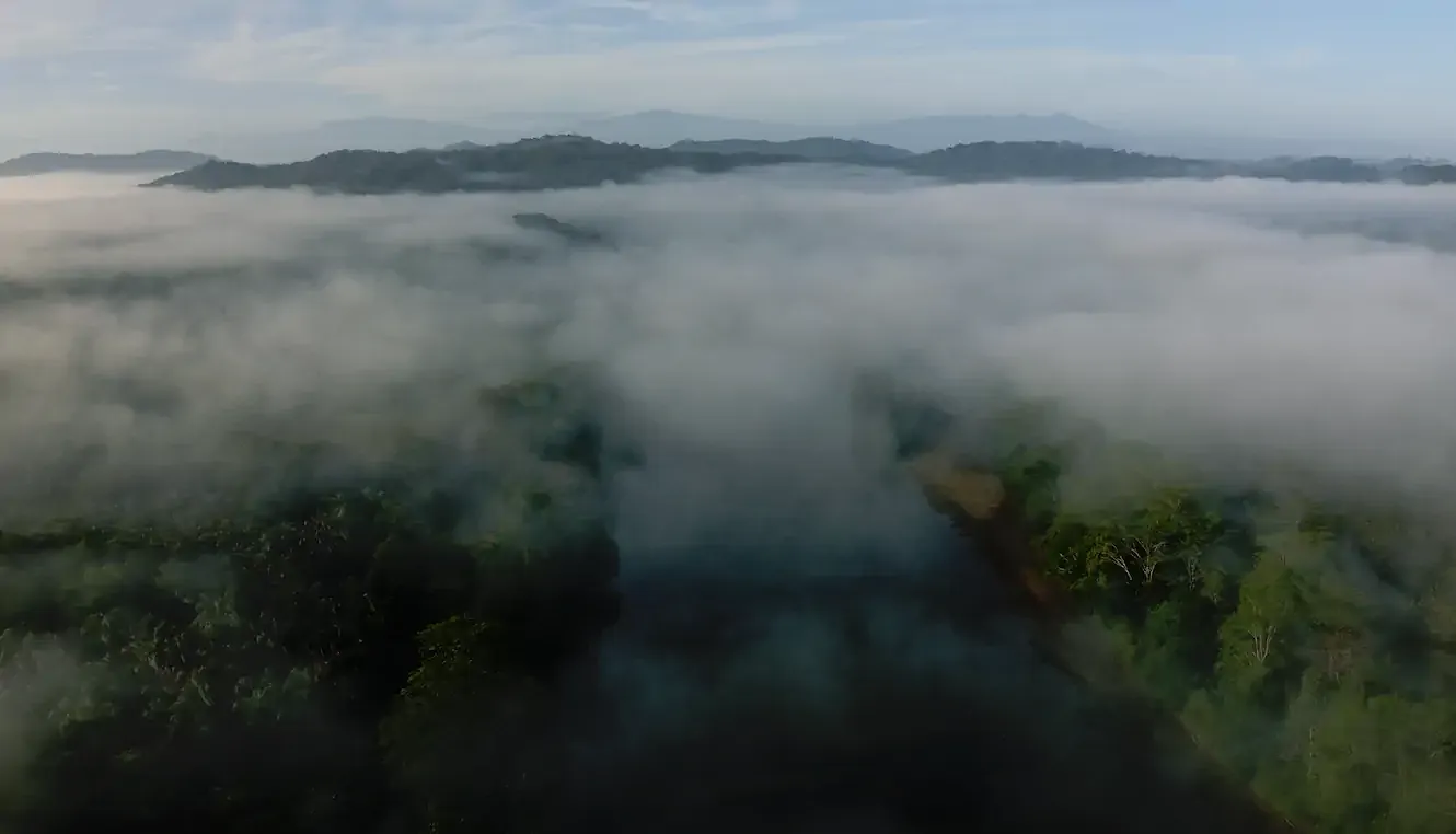 Early morning fog over the Colombian Amazon rainforest