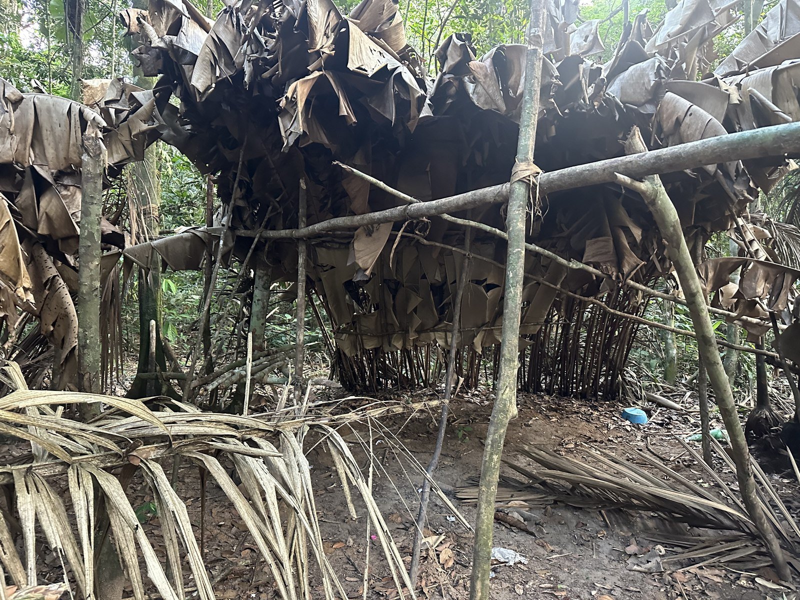 Traditional woven forest shelter