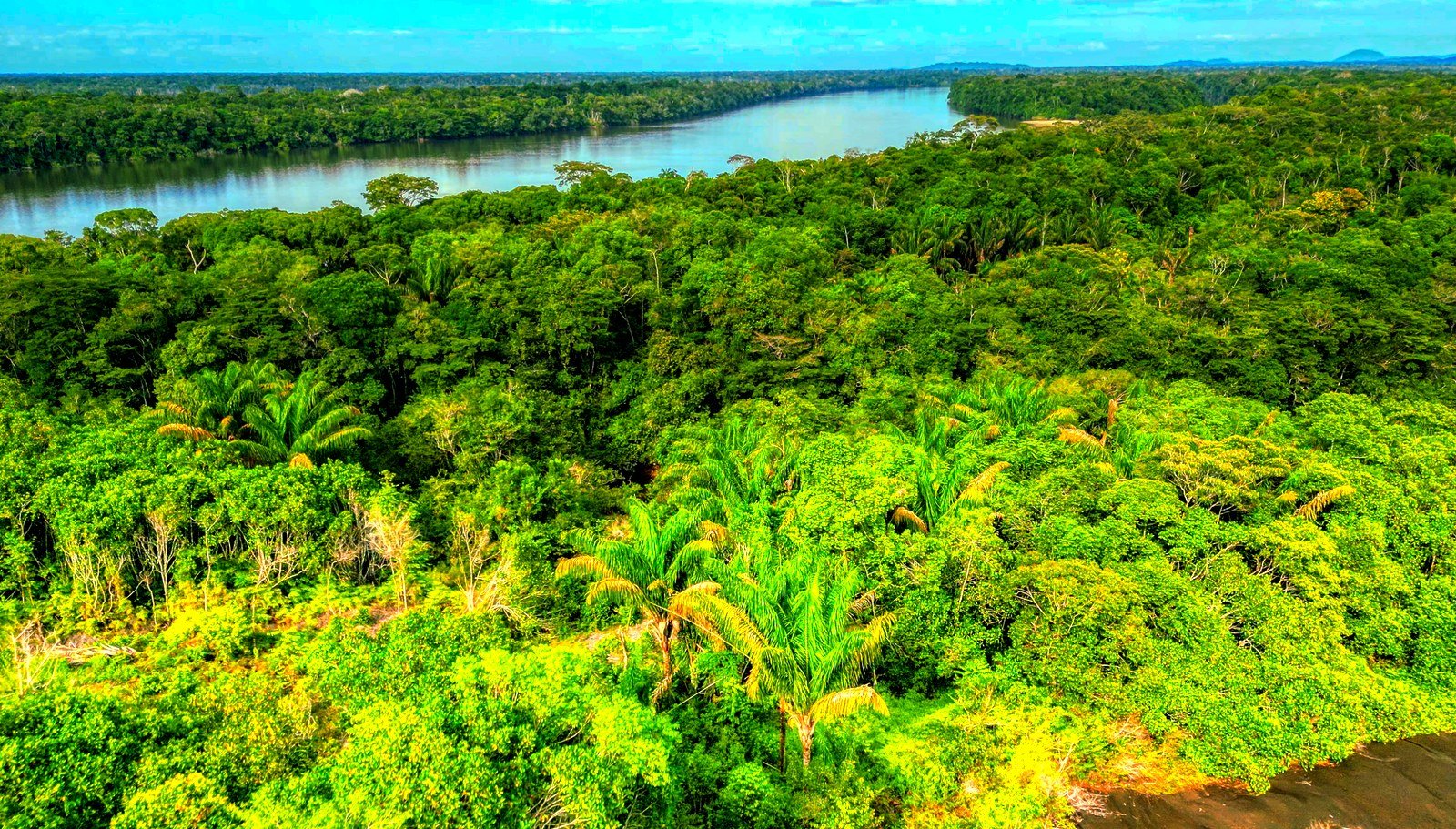 Aerial view of a horseshoe river bend in the Colombian Amazon at dawn