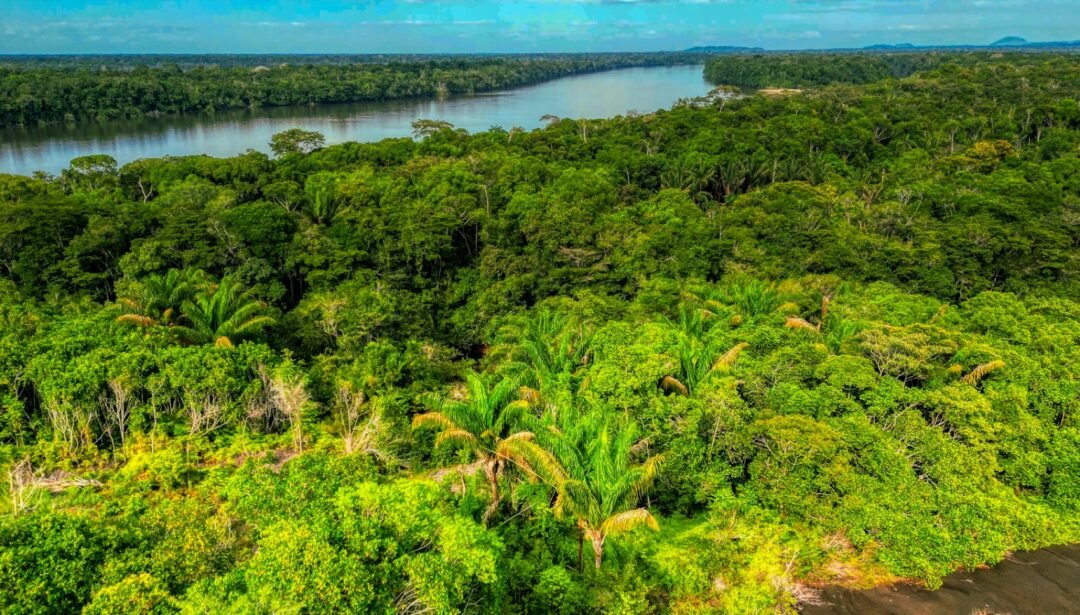 A river cutting through the Colombian Amazon rainforest