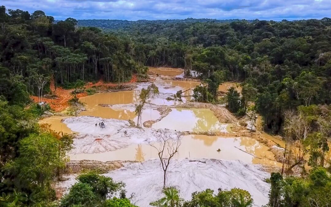Critical Minerals Bill Advances Without Considering Risks, Experts Warn