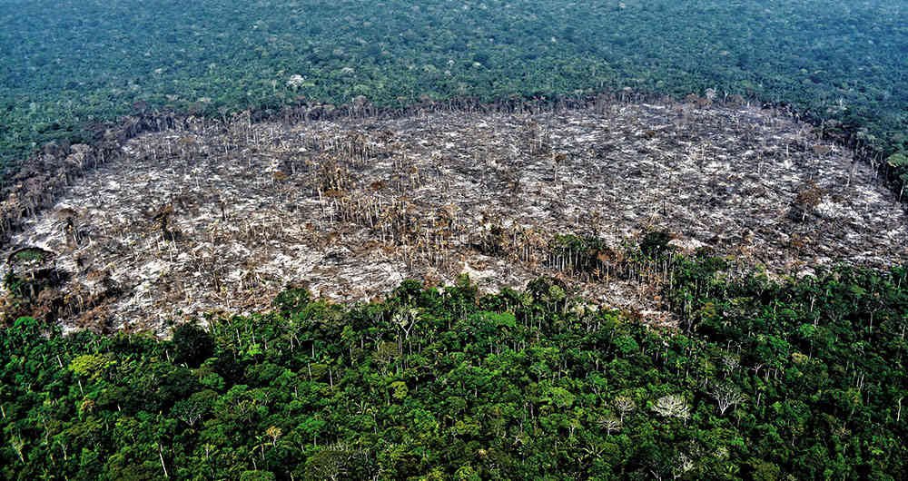 The Amazon Is Closer to Breaking Than You Think, and That Is Everyone’s Problem