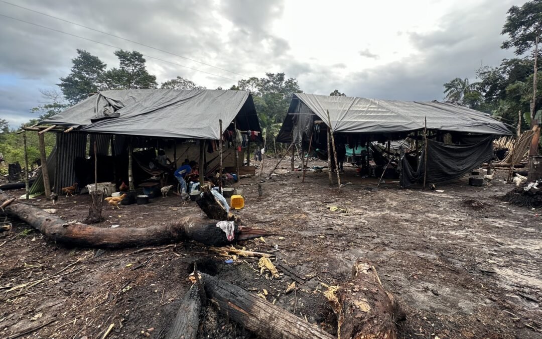 The Gold of Abandonment and the Nukak: How Guainía’s Mining Frontier Presses on a People Already Facing Extinction
