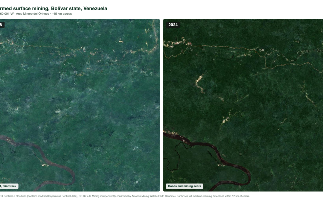 The Mercury Goes In Chinese, the Gold Comes Out Chinese: How Much China Really Helps Amazon Illegal Mining