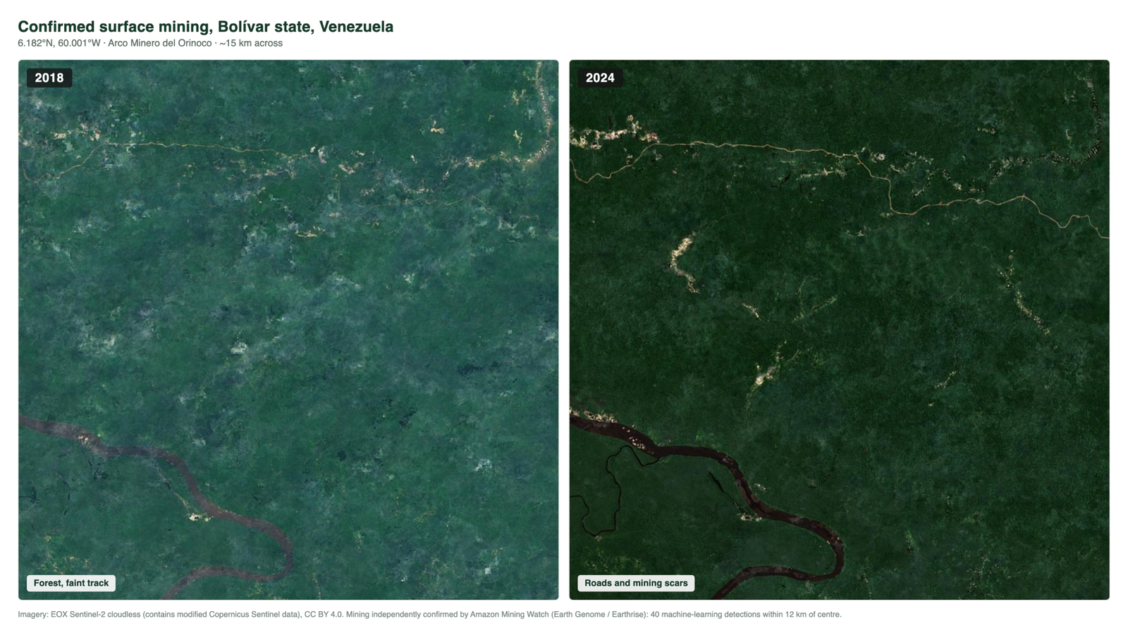 Side-by-side Sentinel-2 satellite images of the same site in Bolivar, Venezuela: intact forest in 2018, a widening road and pale mining scars by 2024